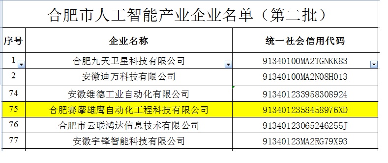 賽摩雄鷹被收入“合肥市人工智能企業(yè)”名錄