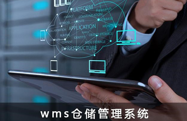 Venus-LES(WMS)系統(tǒng)
